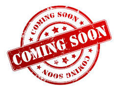  KOGEL  KURTYNA + DACH