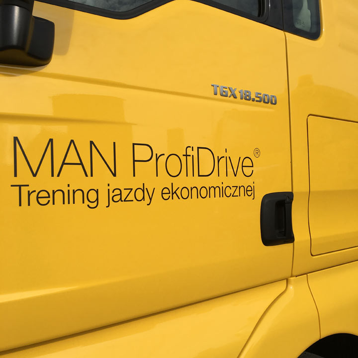 ProfiDrive 2017 w Albor