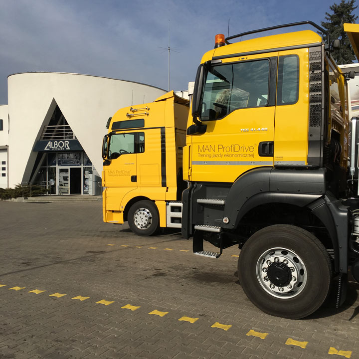 ProfiDrive 2017 w Albor