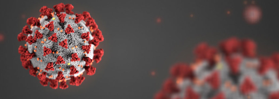 ALBOR - zmiana godzin pracy firmy